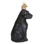 Black Labrador Glass Ornament – Old World Christmas